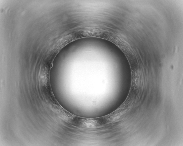X0000088210226200705151350