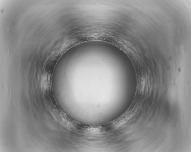 X0000088210236200705151350