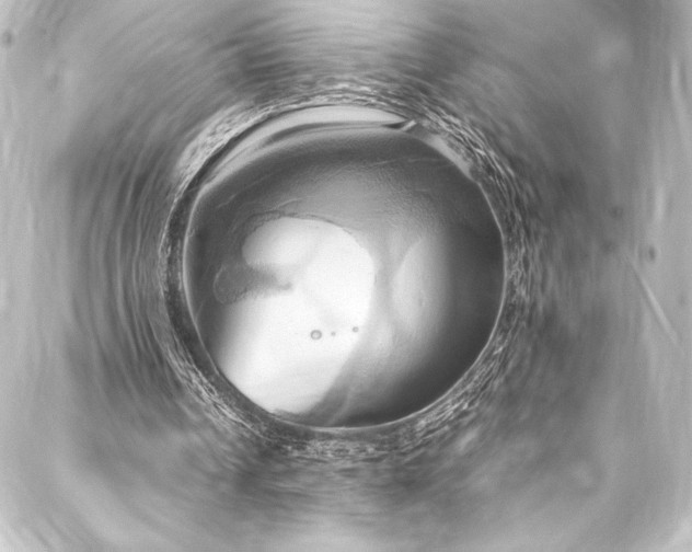X0000088210242200705151349