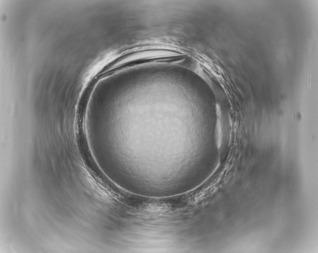 X0000088210248200705151350