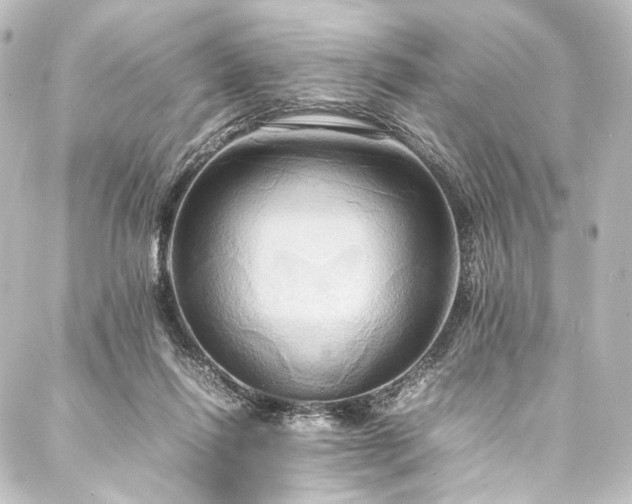 X0000088210262200705151350