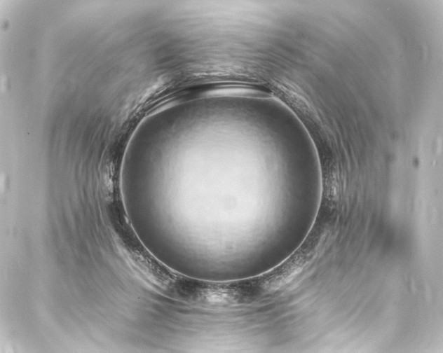 X0000088210264200705151350