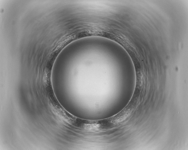 X0000088210266200705151350