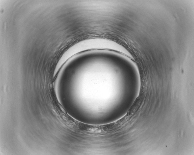 X0000088210272200705151350