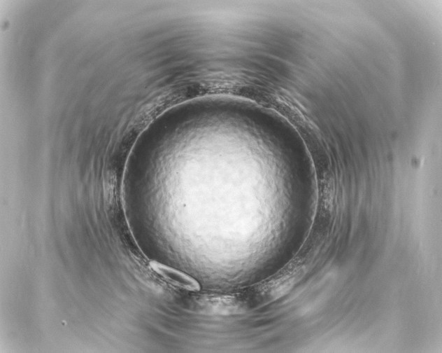 X0000088210283200705151350