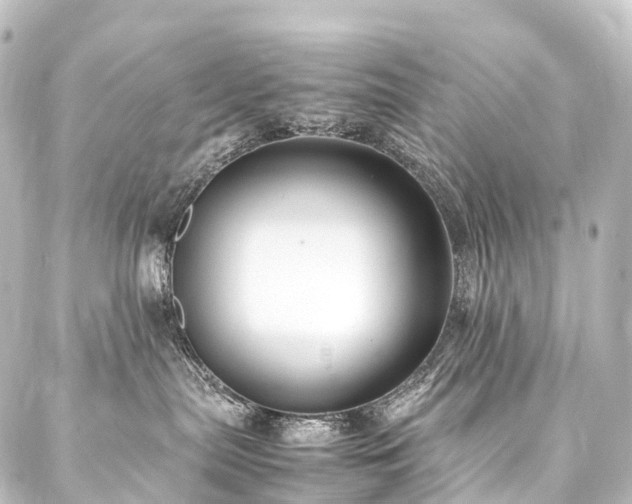X0000088210287200705151350