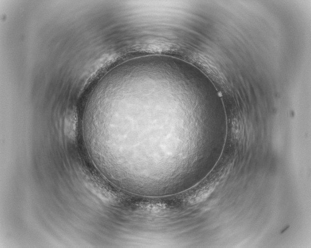X0000088210304200705151349
