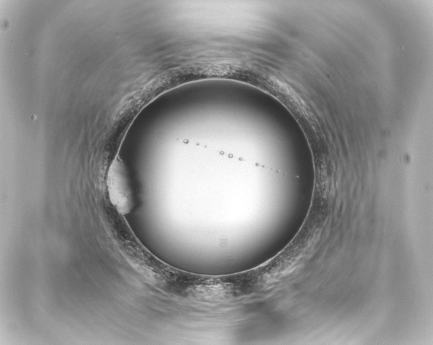 X0000088210307200705151349