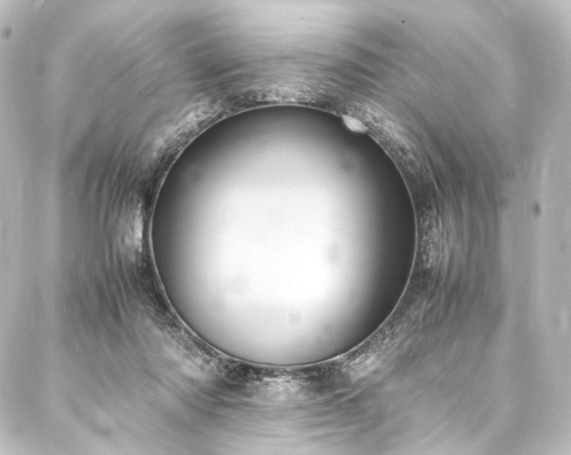 X0000088210310200705151349