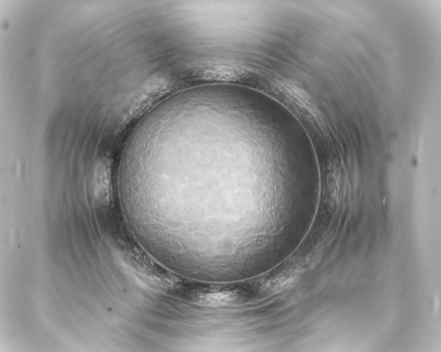 X0000088210312200705151349