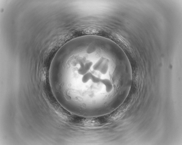 X0000088210315200705151349