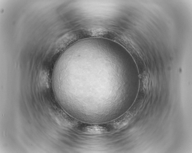 X0000088210316200705151349