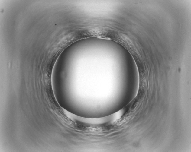 X0000088210317200705151349