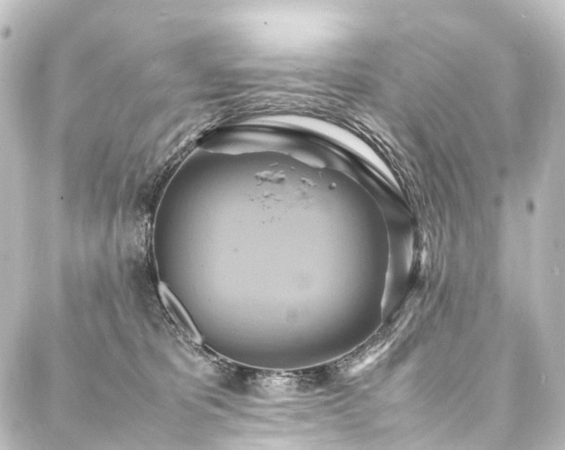 X0000088210325200705151349
