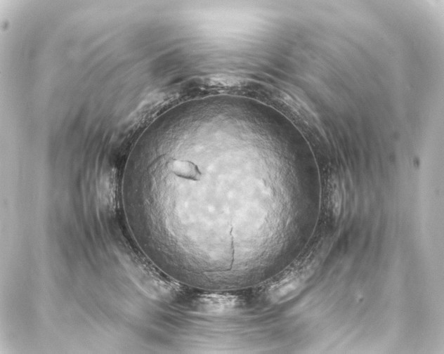 X0000088210328200705151349