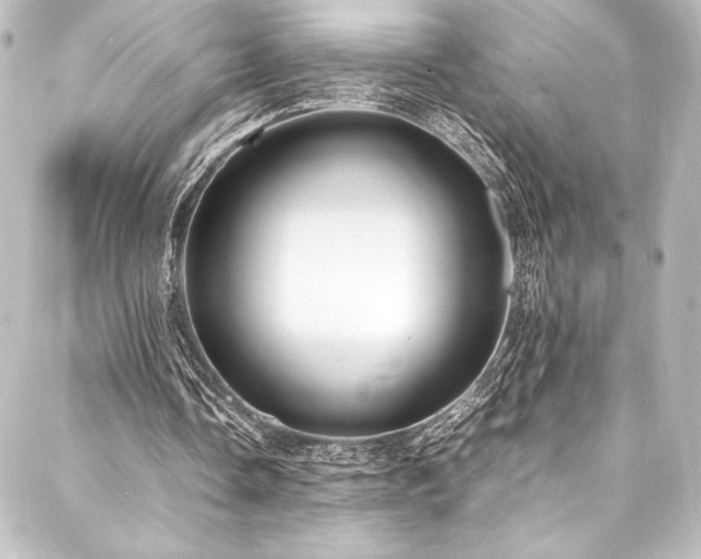 X0000088210338200705151348
