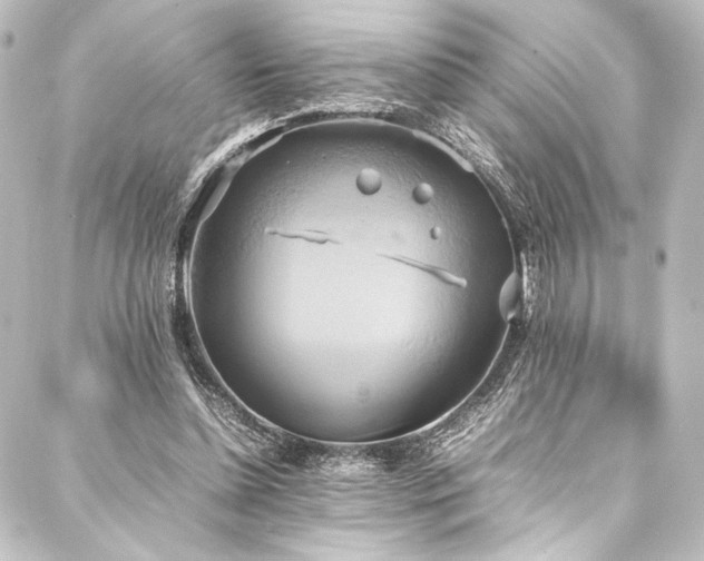 X0000088210348200705151348