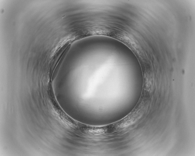 X0000088210357200705151348