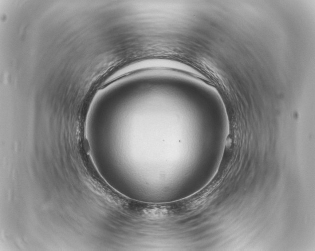X0000088210362200705151348