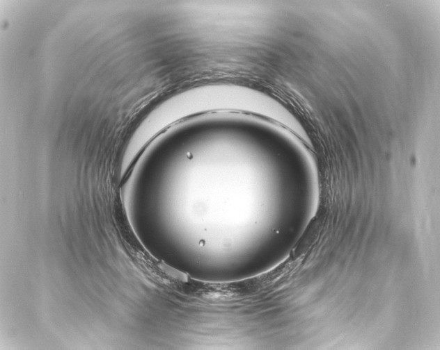 X0000088210364200705151348