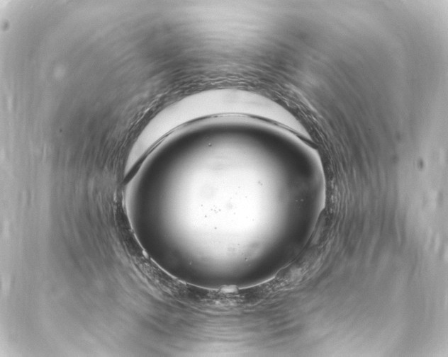 X0000088210368200705151348