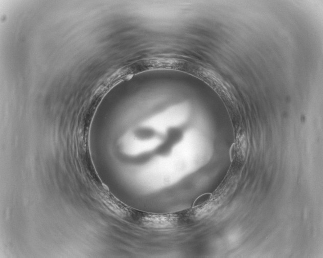 X0000088210381200705151349