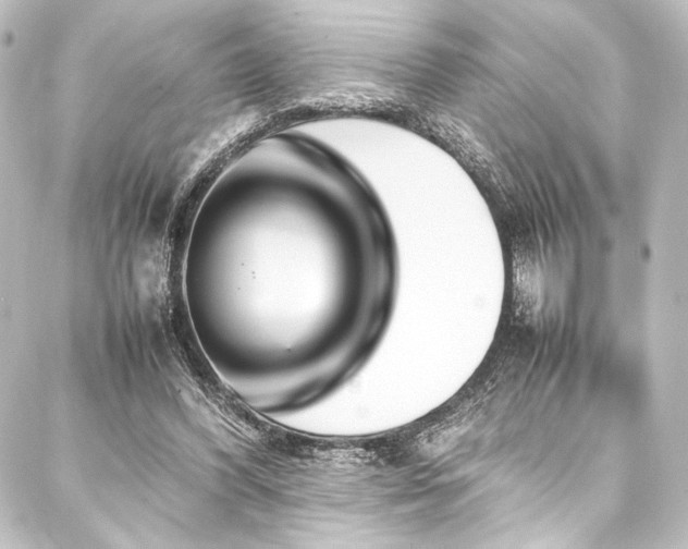 X0000088210396200705151348