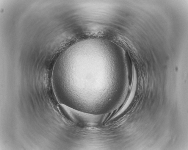 X0000088210416200705151347