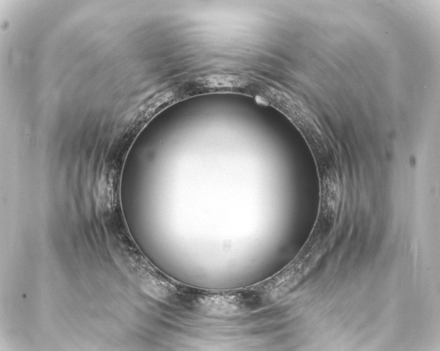 X0000088210422200705151347