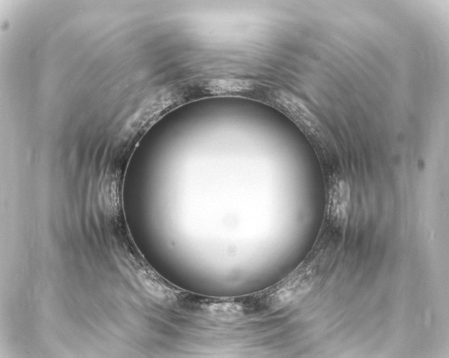 X0000088210426200705151347