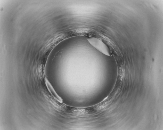 X0000088210428200705151347