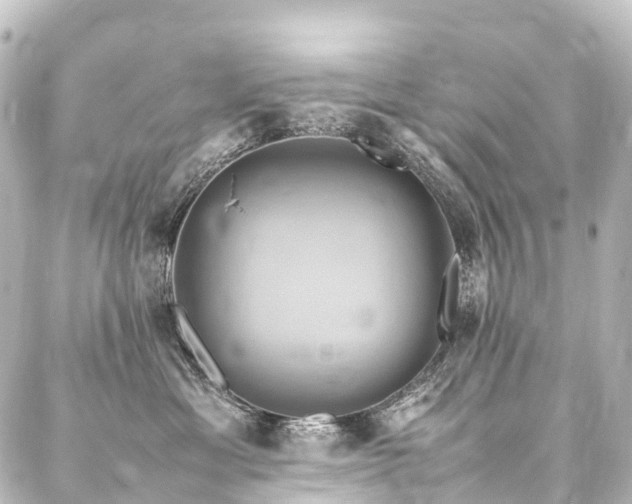 X0000088210429200705151347