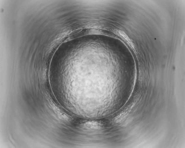 X0000088210441200705151346