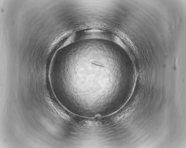 X0000088210442200705151346