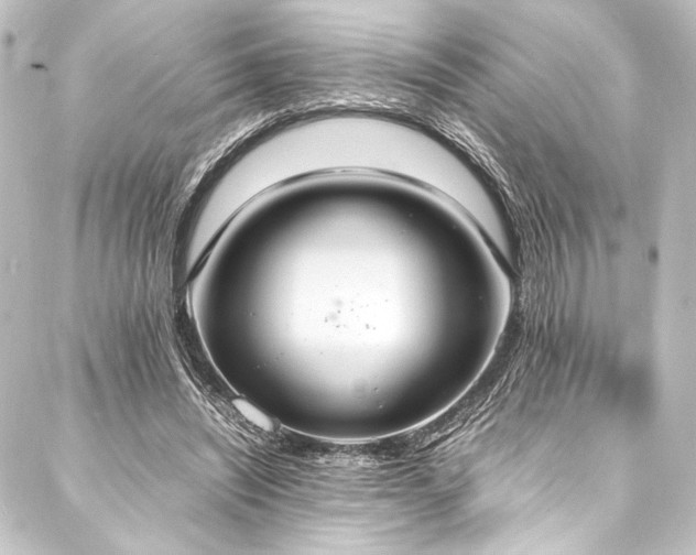 X0000088210444200705151346