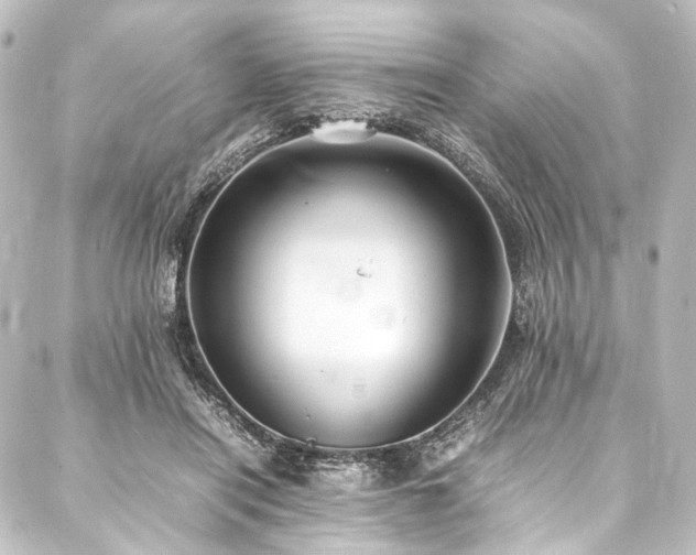 X0000088210454200705151347