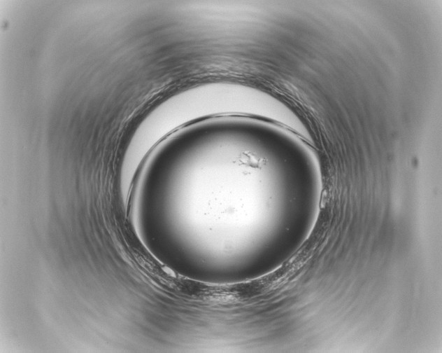 X0000088210456200705151347
