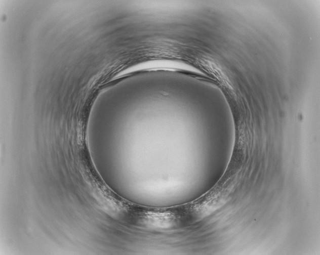 X0000088210457200705151347