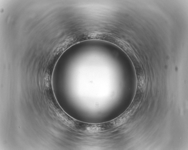 X0000088210470200705151347