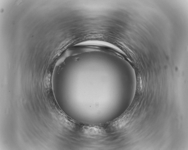 X0000088210475200705151347