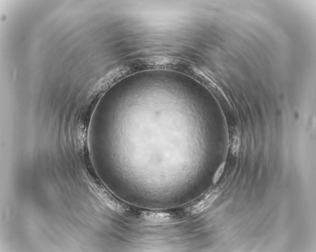 X0000088210476200705151347
