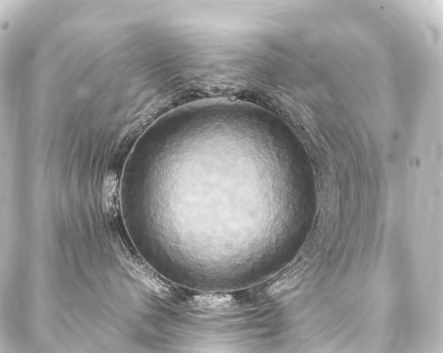 X0000088210480200705151347