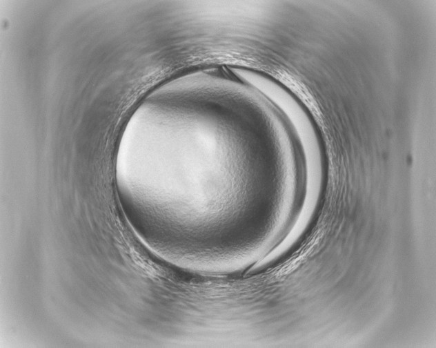 X0000088210481200705151346