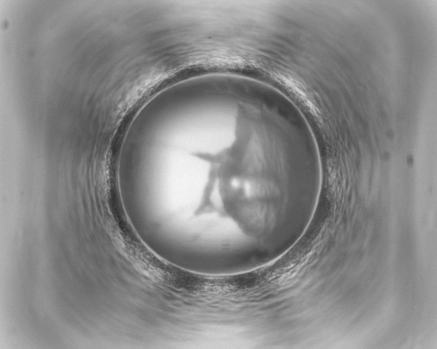 X0000088210487200705151346