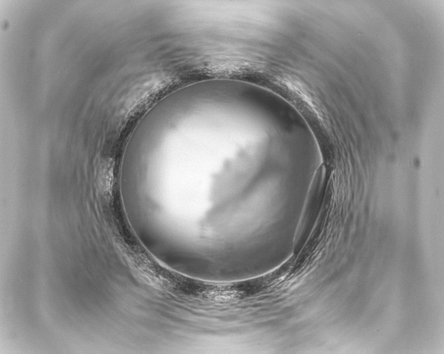 X0000088210495200705151346