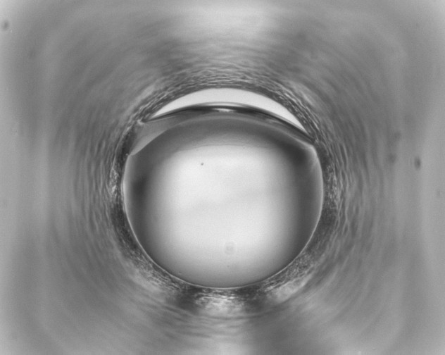 X0000088210507200705151346