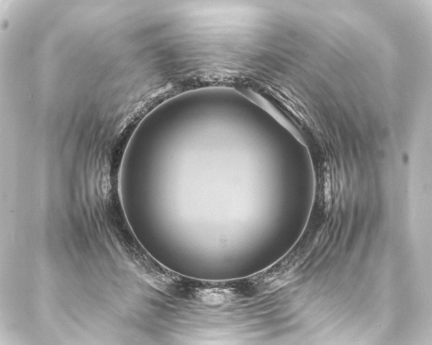 X0000088210508200705151346
