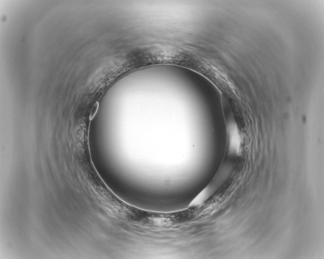 X0000088210509200705151346