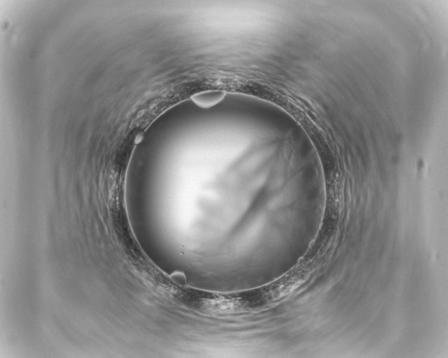 X0000088210511200705151346