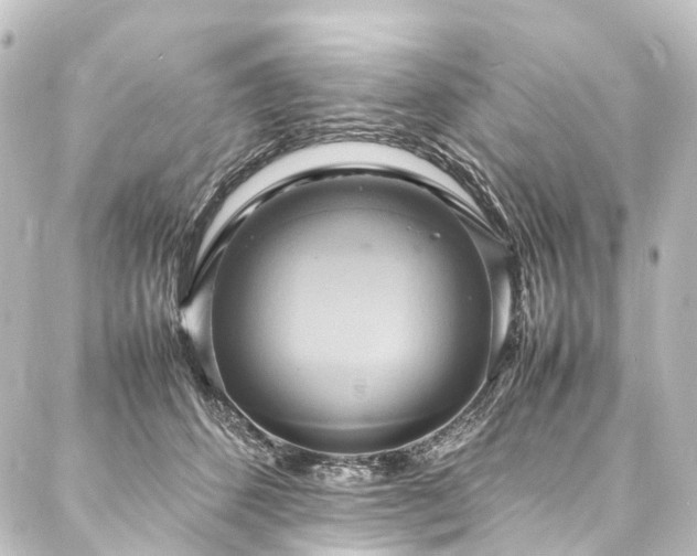 X0000088210512200705151346